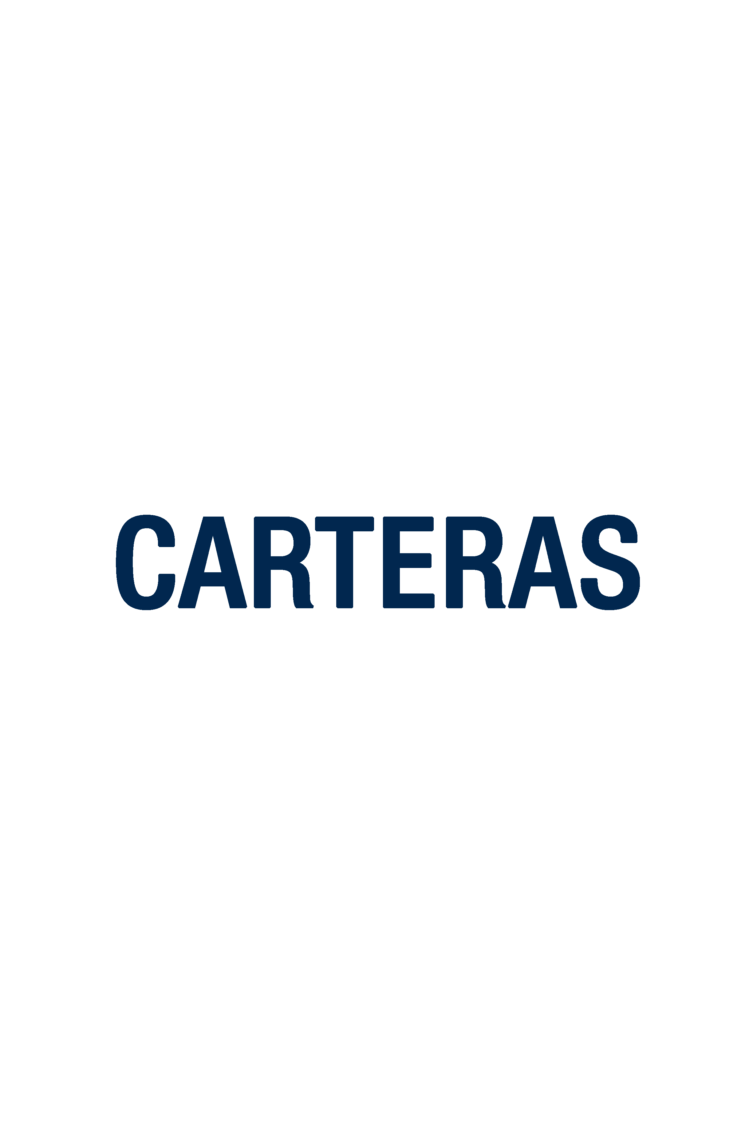 CARTERAS, KOALAS, BOLSOS, MORRALES