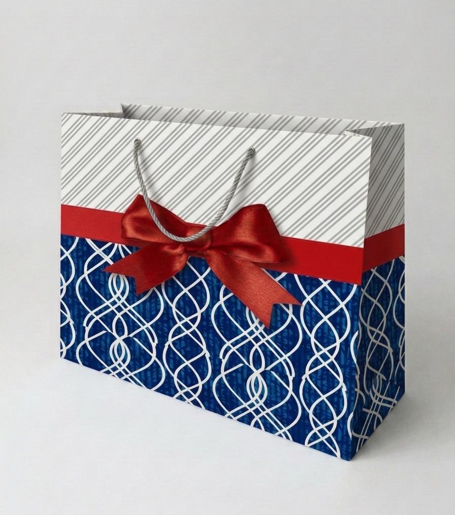 BOLSA DE REGALO